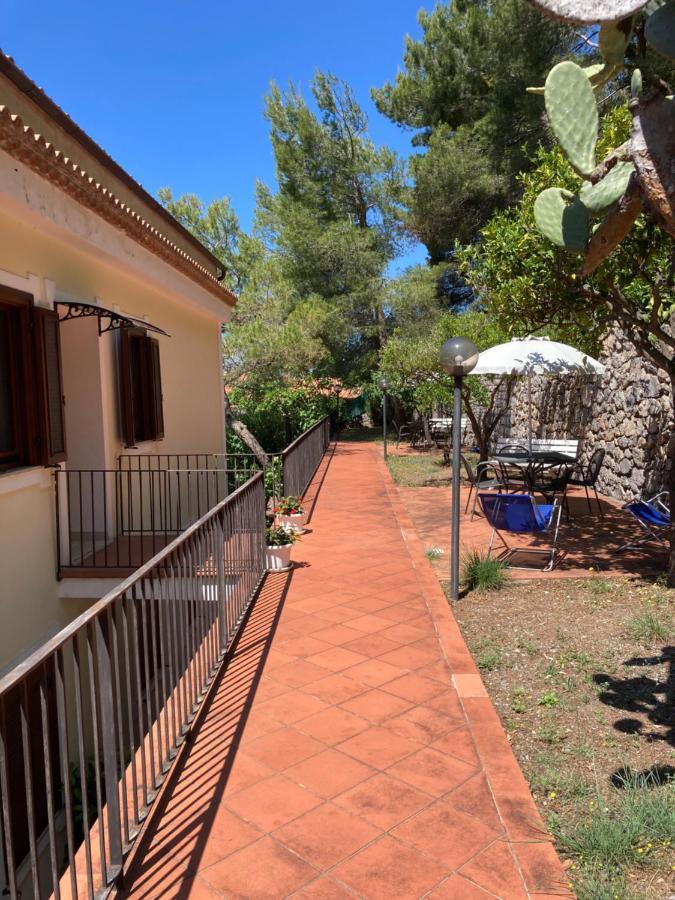 Il Casalino Διαμέρισμα Maratea Εξωτερικό φωτογραφία