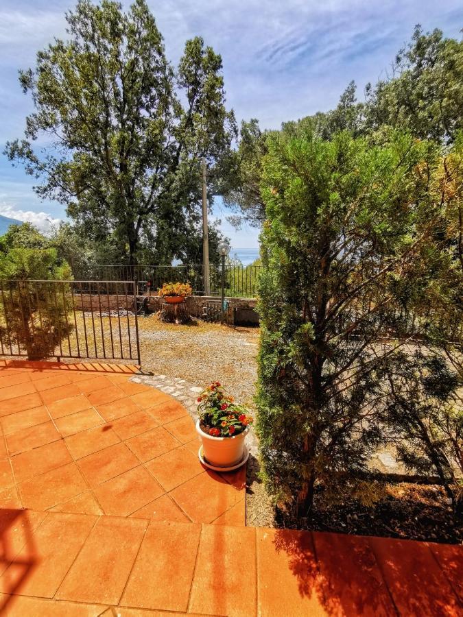 Il Casalino Διαμέρισμα Maratea Εξωτερικό φωτογραφία