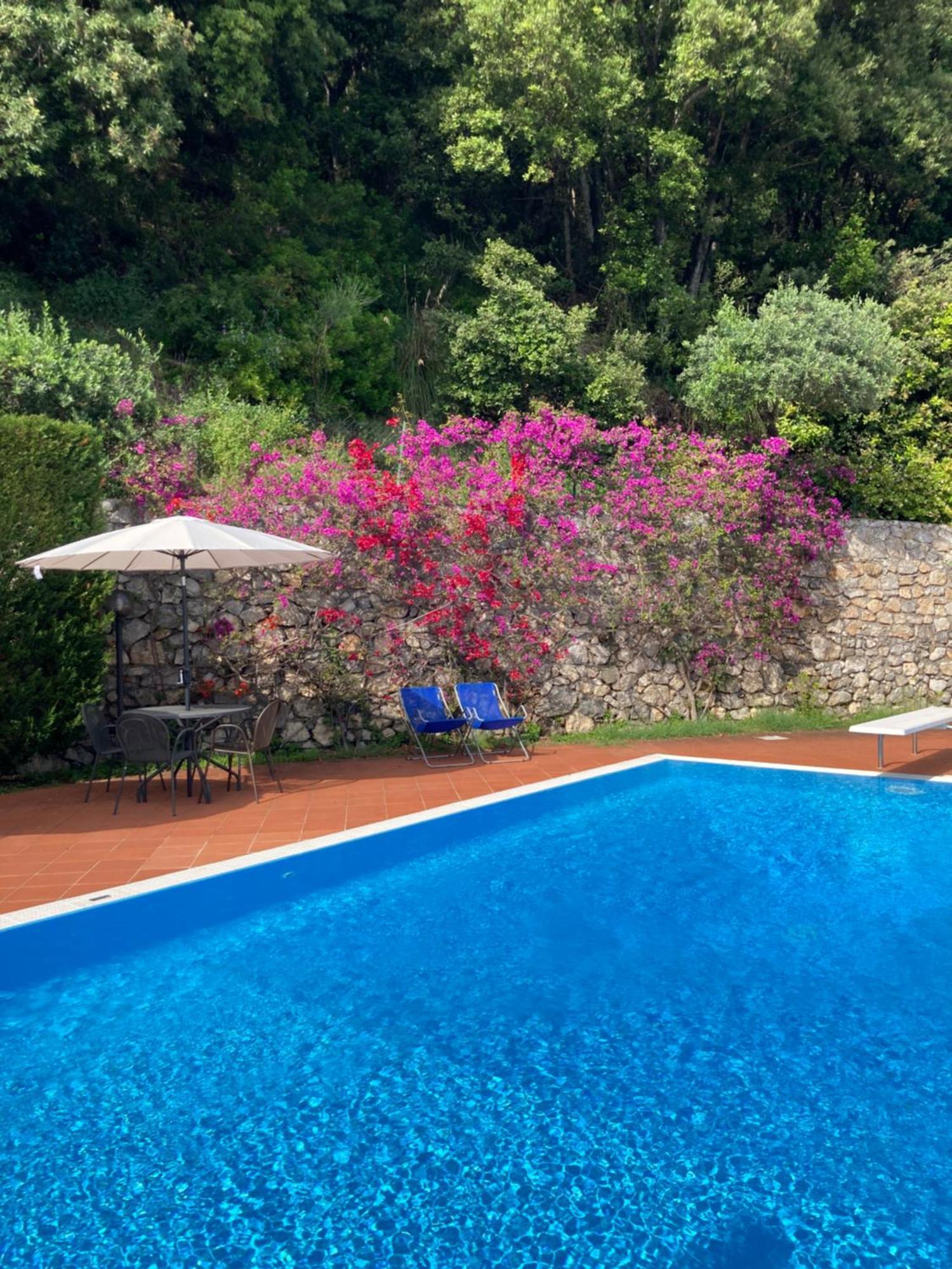 Il Casalino Διαμέρισμα Maratea Εξωτερικό φωτογραφία