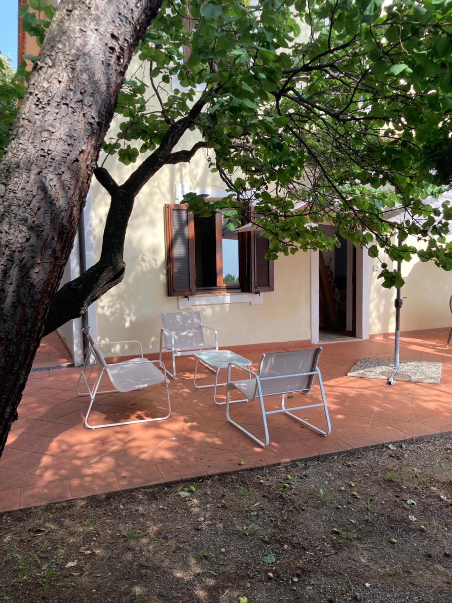 Il Casalino Διαμέρισμα Maratea Εξωτερικό φωτογραφία
